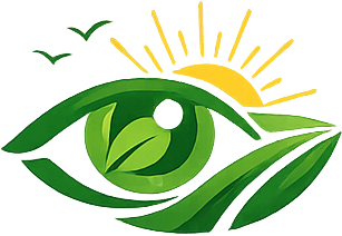 Vision