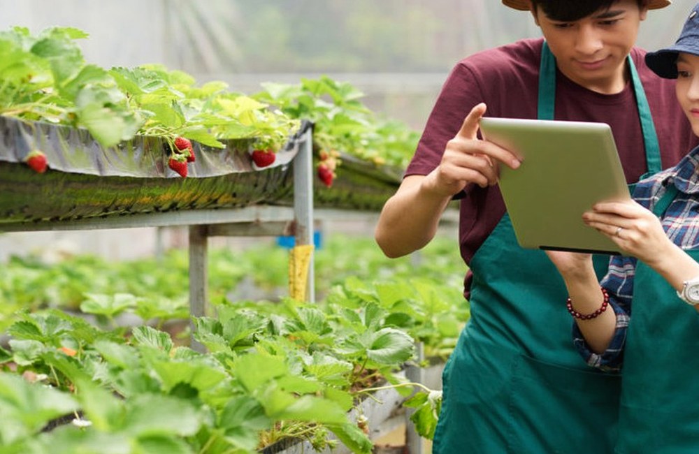 Farmer Connect