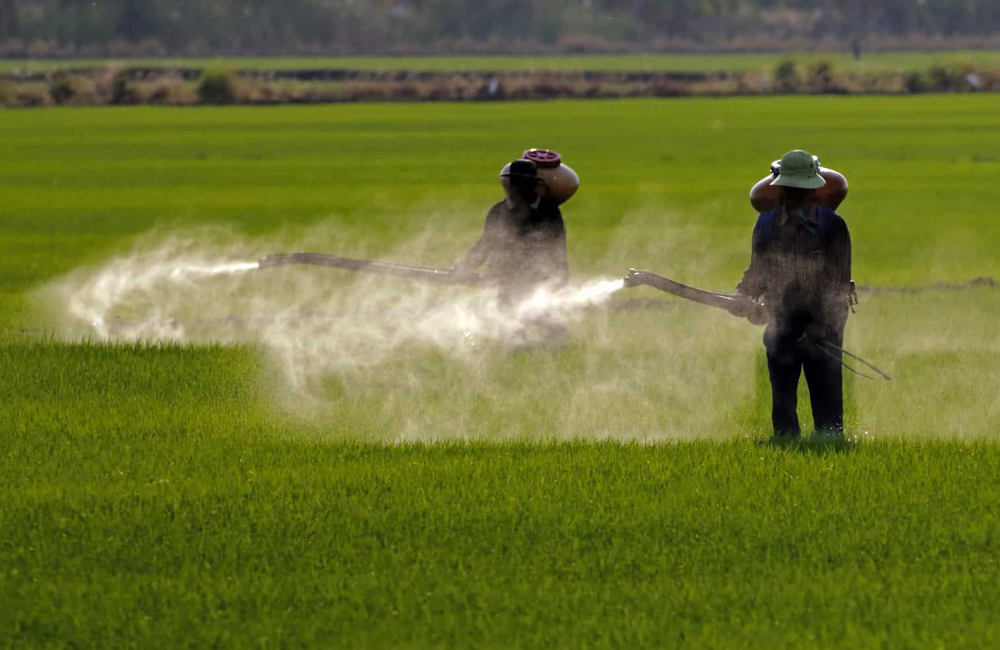 Crop Protection